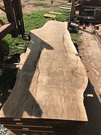 English Walnut